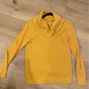 Banana Republic Turtle Neck Sweater